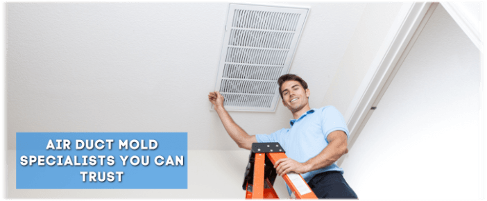 Air Duct Mold Removal in Santa Clarita CA