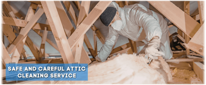 Attic Cleaning Santa Clarita CA