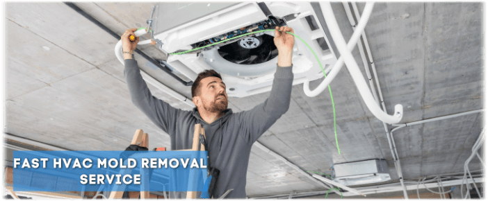 HVAC Mold Removal Santa Clarita CA